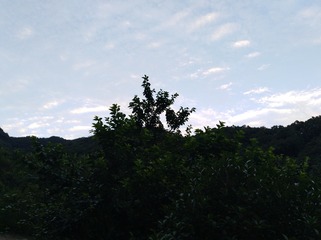 462121