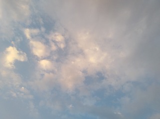 449843