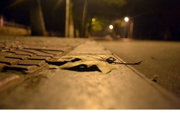 DSC_0728.jpg
