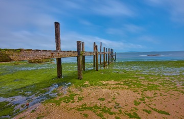 _DSC2040
