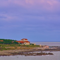 DSC00004_1