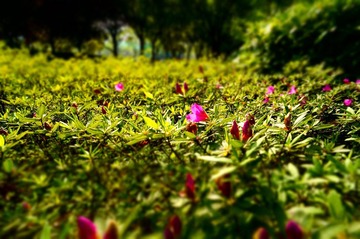 DSC01105.JPG