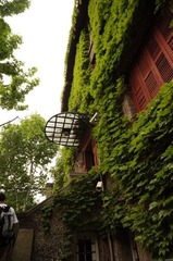 DSC02060.JPG