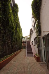 DSC02100.JPG