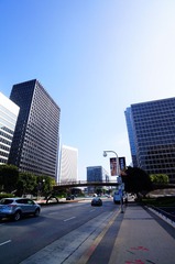 DSC06095.JPG