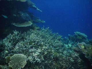 8F09AF10-FA3F-4708-8165-EDAEC5E4E0E0/L0/001