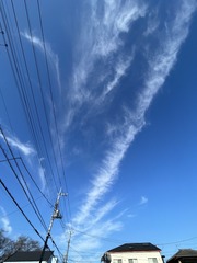 B4290705-2A59-4FAC-9BD2-4CF9044B9687/L0/001