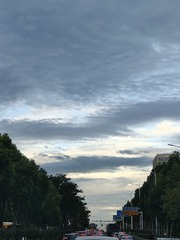 1000026168