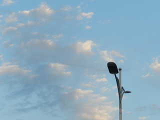 1006141