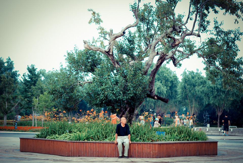 奥林匹克大道公园的老头儿