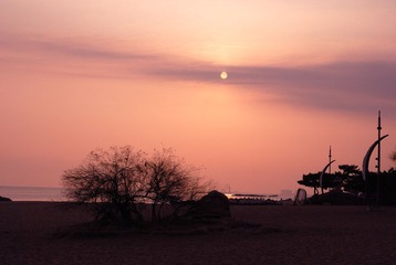 DSC_0175.jpg