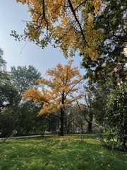 1F70FCDB-D3D4-4E98-826E-F88080F209E4/L0/001