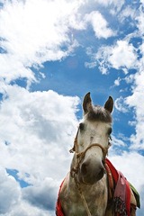 201206_106.jpg