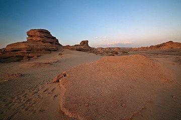 LAS_1533.jpg