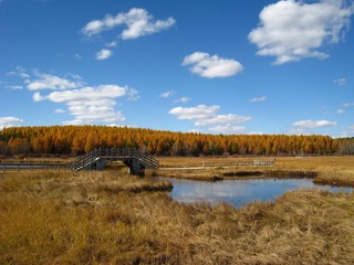 MLWC_5791.JPG