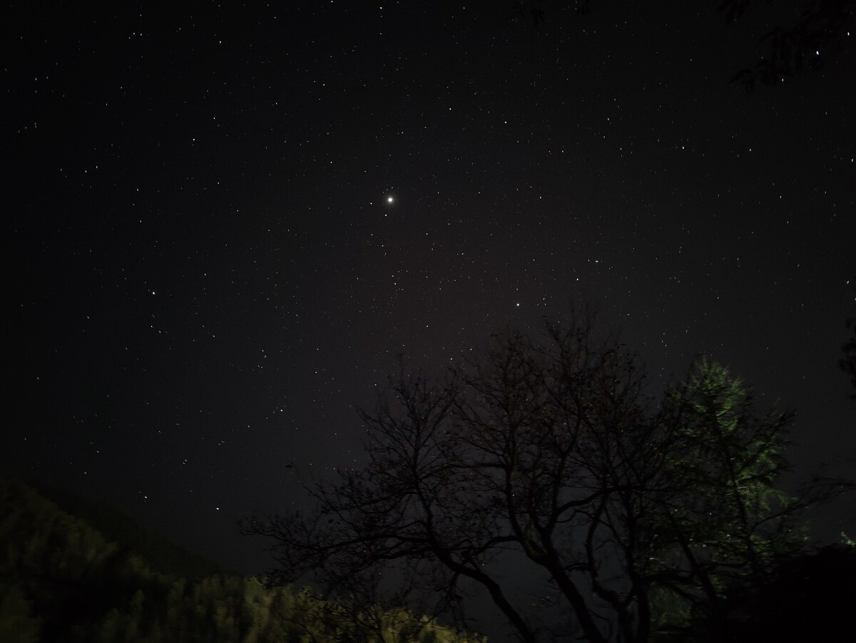 森林系星空