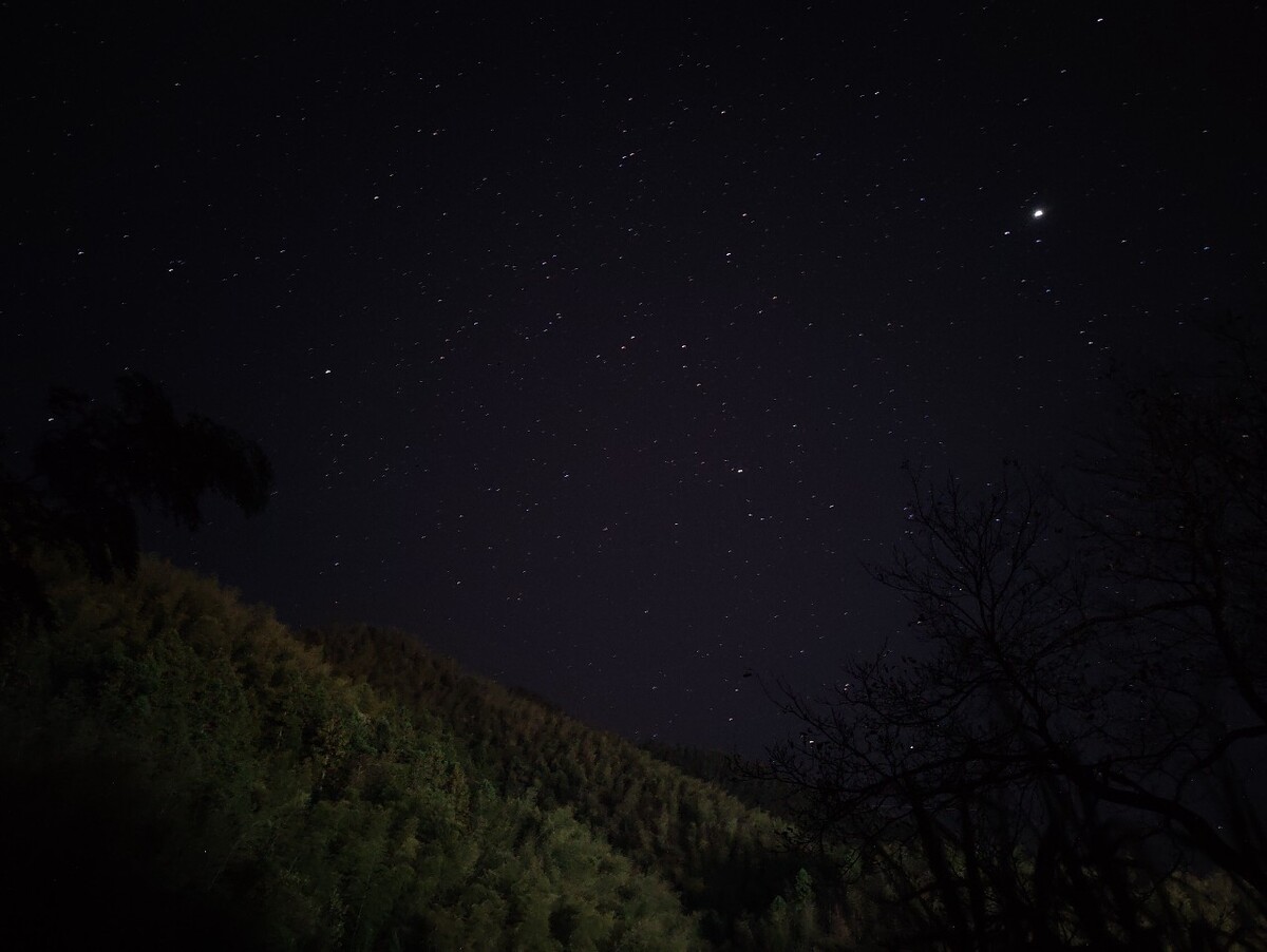 森林系星空