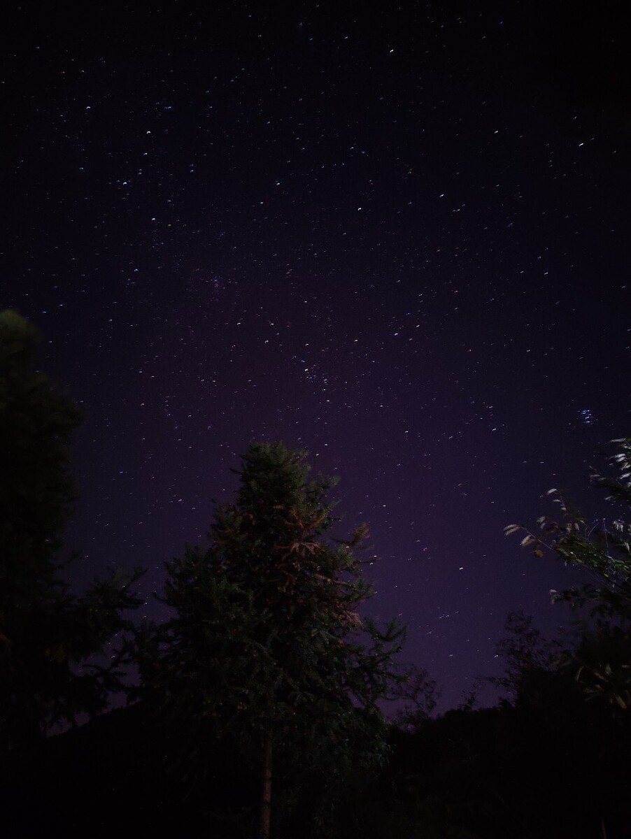 森林系星空