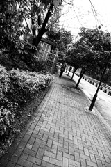 1C02D1A4-326A-473F-847C-56B31B8002EF/L0/001