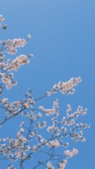 62BA5D51-3C5B-4CEC-BBE4-35EA334FEC64/L0/001