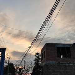 116119