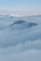 267