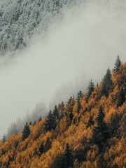 776530