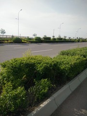 1442053