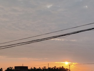 1000000989