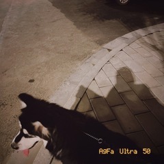 C6151613-578F-4871-808F-2D6AFAFA3729/L0/001