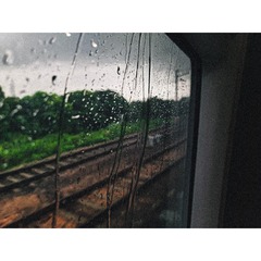 1000049819