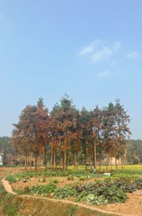 74F1D12F-8B63-4783-9B88-BE1AEB1B16B2/L0/001