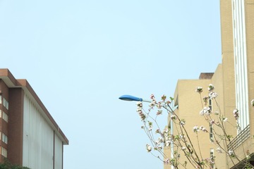 91C91AE6-2CD9-4D20-9EC0-F83E9AC96F56/L0/001