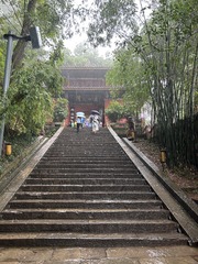 C0F3E6EC-0DF5-40FF-8A10-88F9E0257824/L0/001