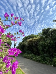 468EDB85-55F1-423B-BF2A-5E804715A3C5/L0/001