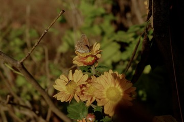 18319745-5F9B-498E-A8AE-CC47EBDAB305/L0/001