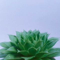 1081681