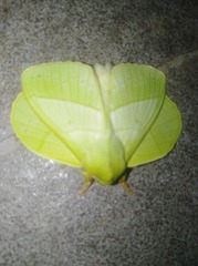 1089974