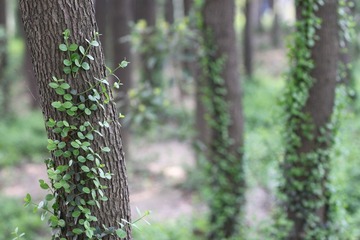 Picture 024.jpg