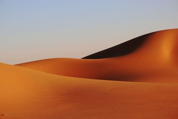 IMG_0251.jpg