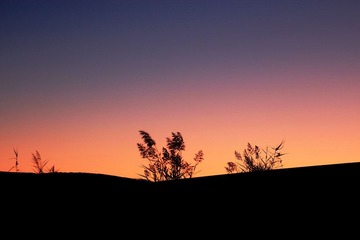 IMG_0413.jpg