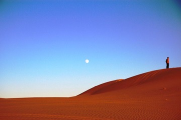 IMG_0247.jpg