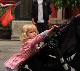 IMG_2956.jpg