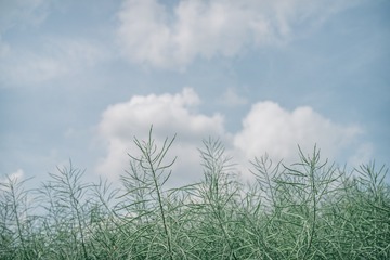 331B802C-0732-4BA2-8D98-06E925D6D17D/L0/001