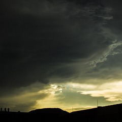 雨后_1.JPG