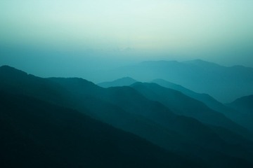 IMG_5040.jpg