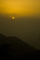 IMG_5016.jpg