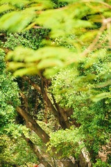 C7F6AC08-7E39-4A17-B6CA-90B16E920671/L0/001