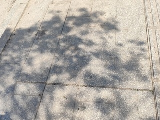1000010167
