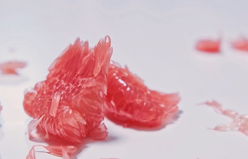 244BD7DE-0D70-408F-B710-3CA4853BD4AB/L0/001